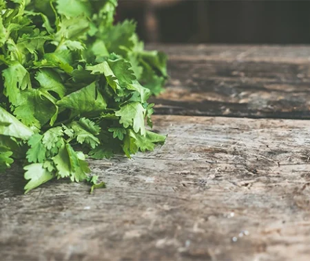 Green parsley on a wooden table
