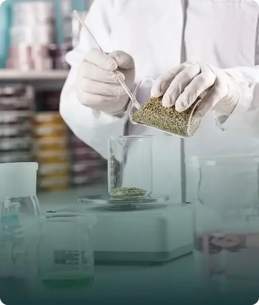 A researcher in a lab holding a small sample of dry ingredients, representing product development and research labs.