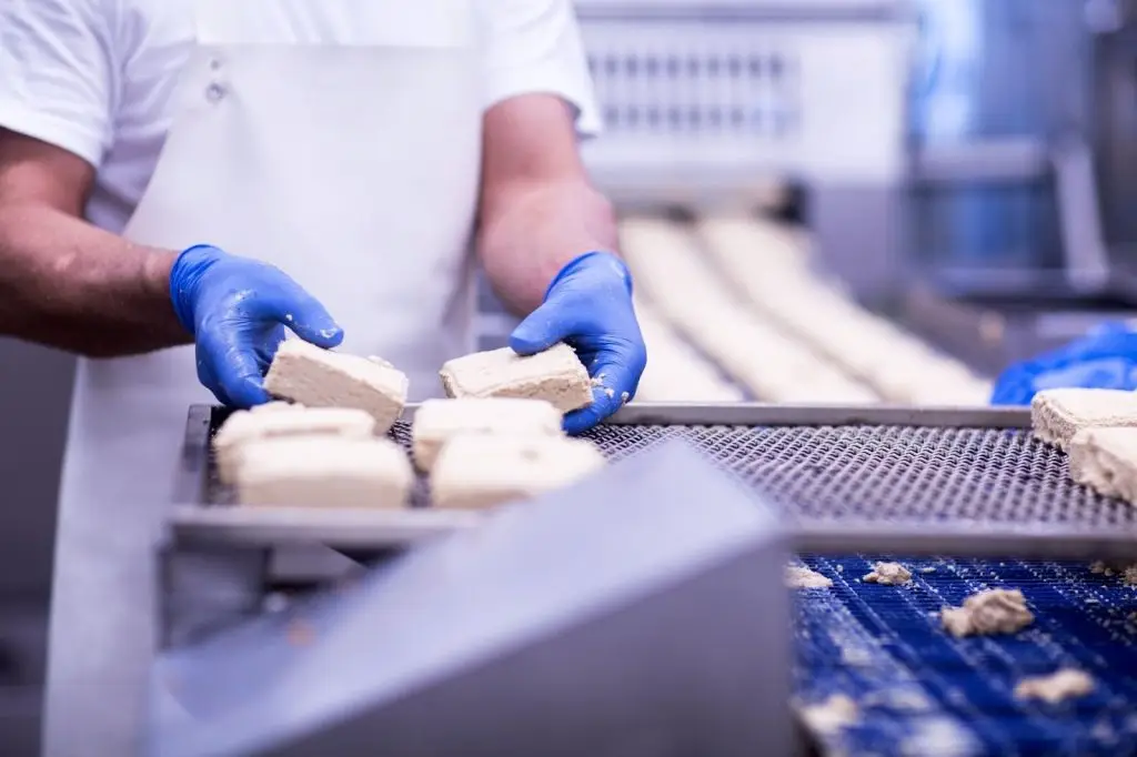 Worker in a food processing plant wearing blue gloves and placing rectangular food blocks onto a conveyor belt.